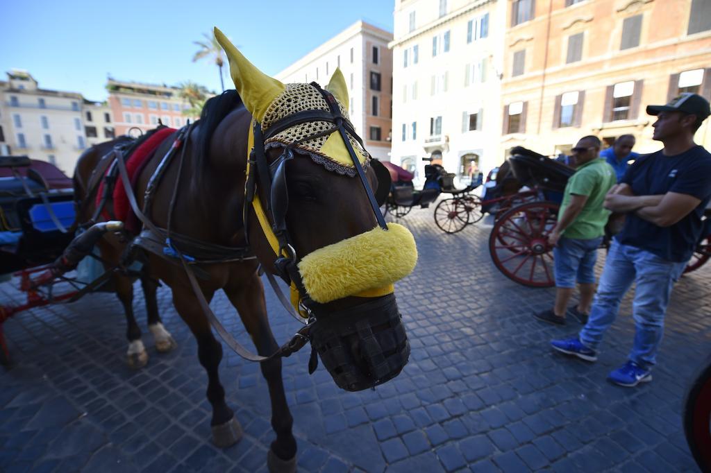 Al Centro Storico Di Roma Bed & Breakfast ภายนอก รูปภาพ